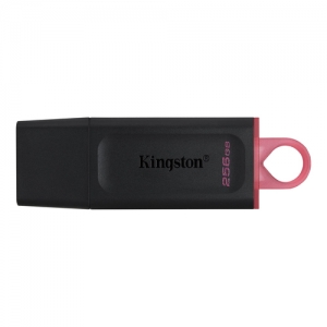 Kingston usb flash DTX/256GB                 